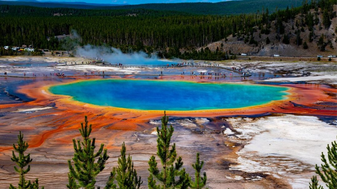 A stunning aerial view of Yellowstone National Park, showcasing its diverse landscape and abundant wildlife.. The Role of National Parks in Biodiversity Conservation.