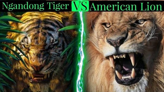 Ngandong Tiger and American Lion engaged in a fierce battle, showcasing the clash of two powerful prehistoric predators.. Ngandong Tiger vs American Lion: Unveiling the Mythical Battle.