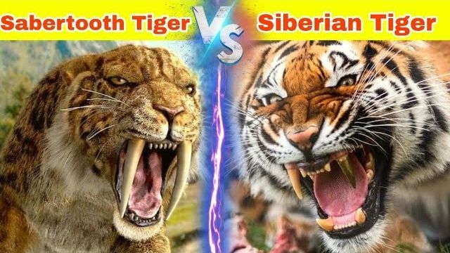 Siberian Tiger vs Sabertooth Cat. A digital artwork depicting a dramatic face-off between a powerful Siberian Tiger and a fierce Sabertooth Cat in a forest setting.